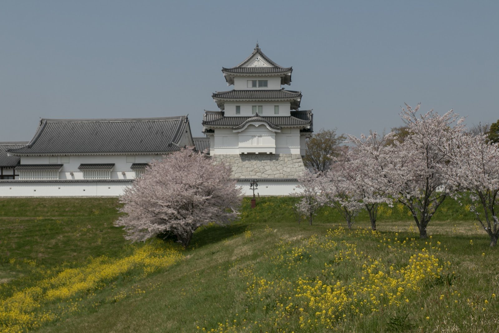 🏯 세키야도 성 박물관 (세키야도조 하쿠부쓰칸) 이미지 6
